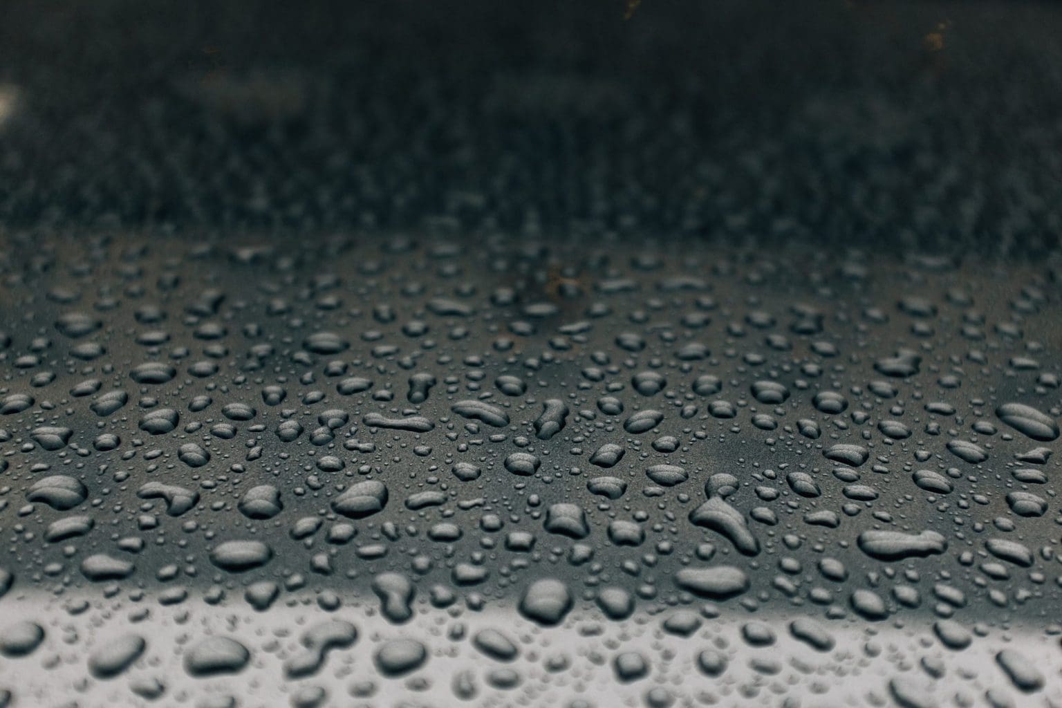 Portuguesa Oli investe em água das chuvas nos autoclismos