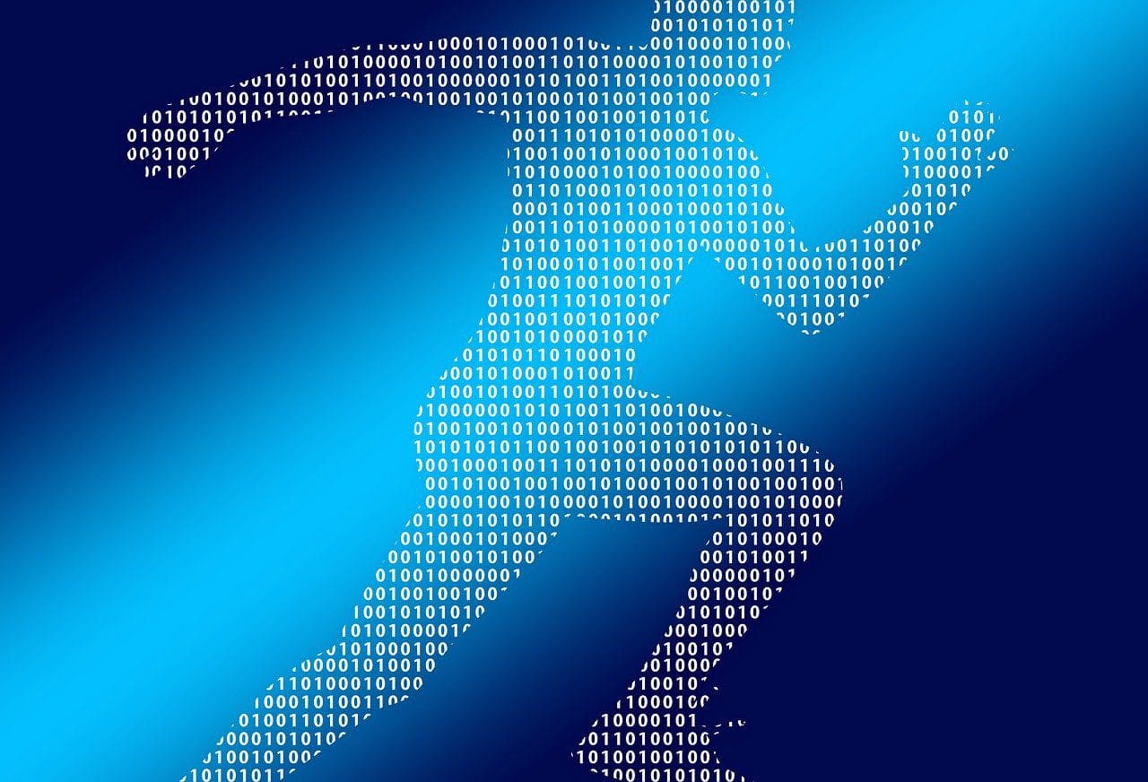 Corrida ao digital