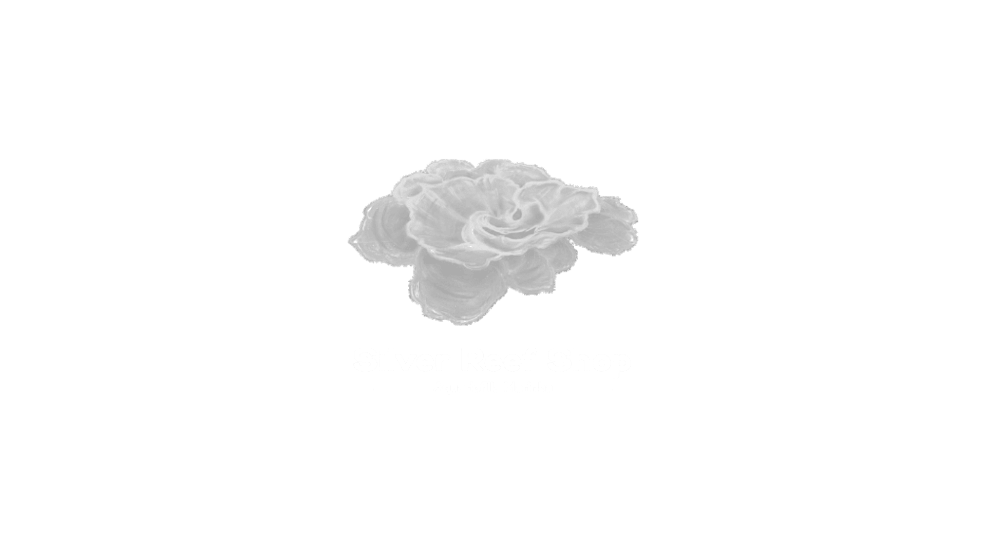 Silver Reef Shop